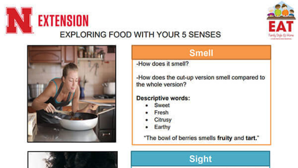 Exploring Food with Your 5 Senses