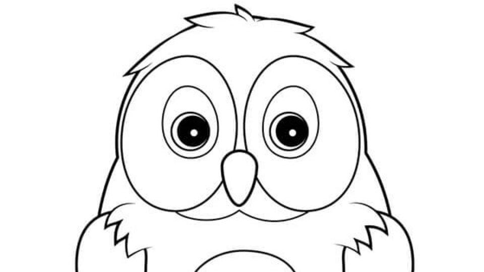 Owl Coloring Activity
