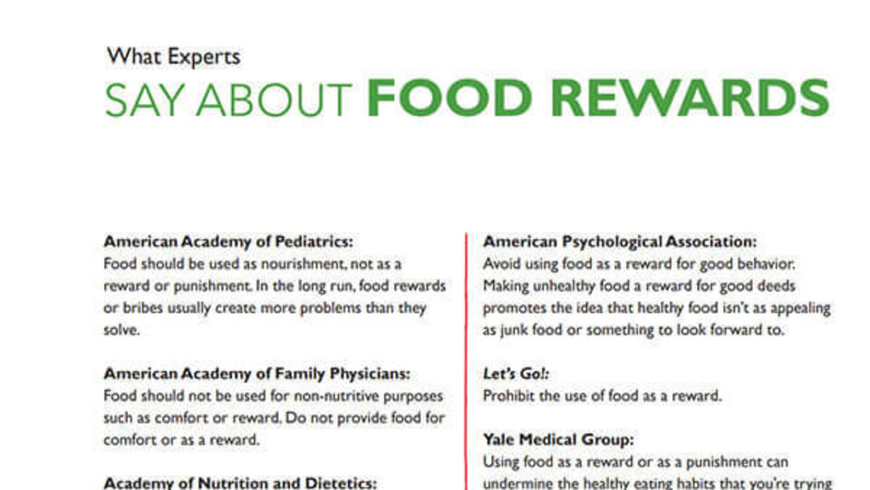 Experts View of Food Rewards