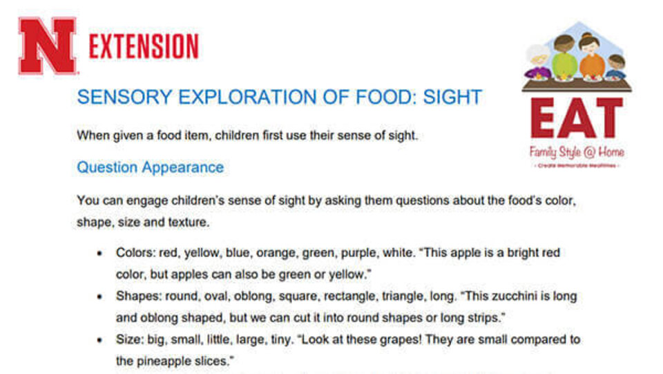 Sensory Exploration of Food: Sight
