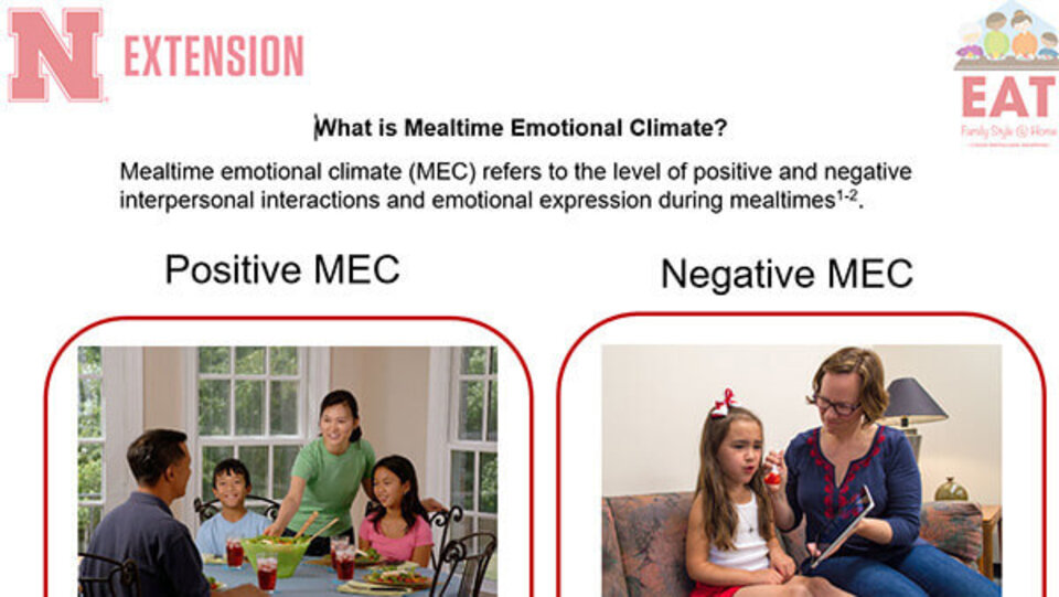 What is Mealtime Emotional Climate?